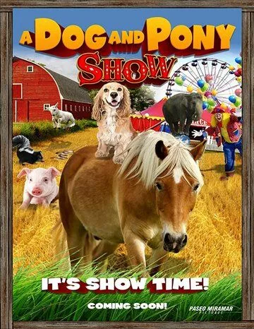 A Dog & Pony Show